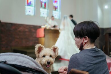 Report＃454(5)